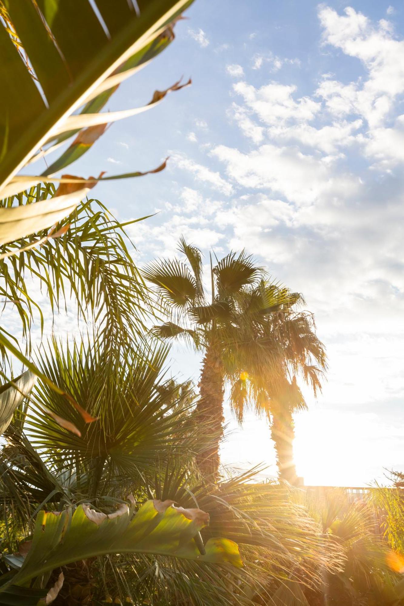 Albades Hotel & Spa (Adults Only) Benicàssim Exterior foto
